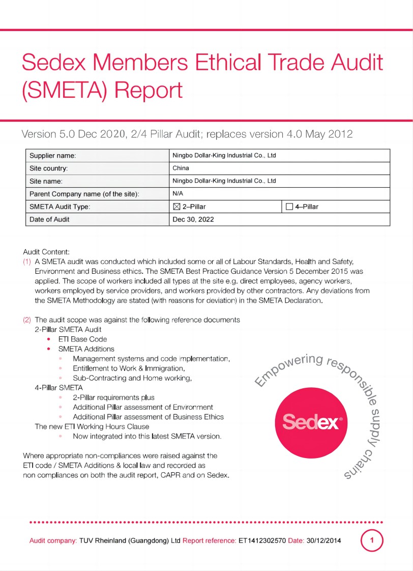 SEDEX Ethical Auditing Report